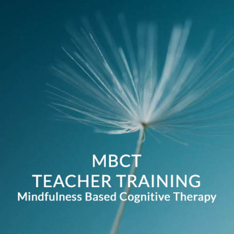 MBCT TEACHER TRAINING