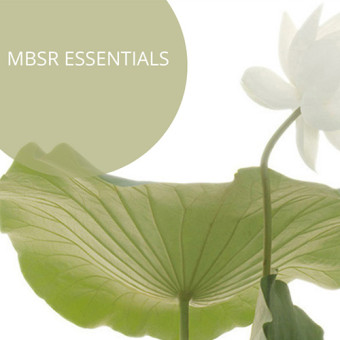 MBSR ESSENTIALS