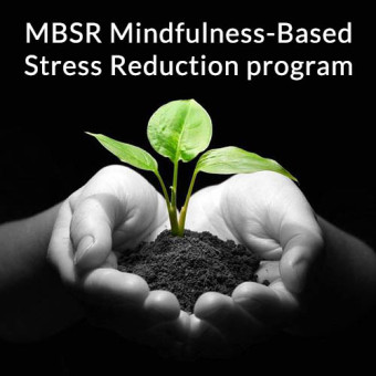 MBSR PROGRAM