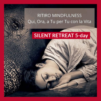 QUI, ORA, A TU PER TU CON LA VITA - 5gg