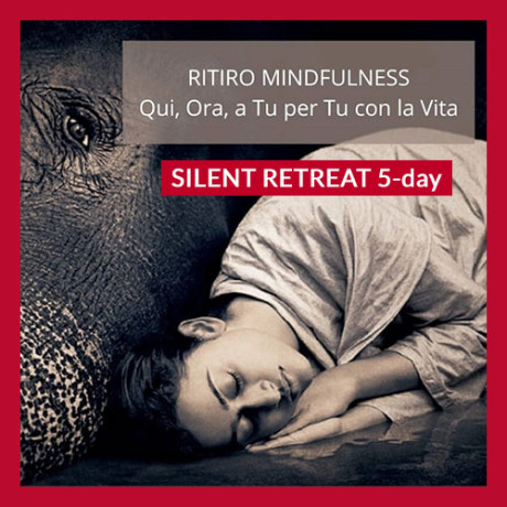 QUI, ORA, A TU PER TU CON LA VITA - 5gg